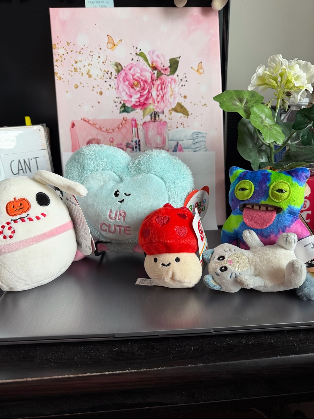 Plush Small Pet Toy Bundle - Assorted Colors (Blue, Red, Multicolor) set of 5